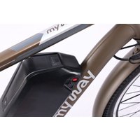 Электровелосипед MyWay Let 1.0 250 26 Pro (титан матовый)