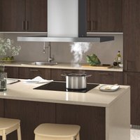 Кухонная вытяжка Ikea SVAVANDE 403.890.89 (нержавеющая сталь)