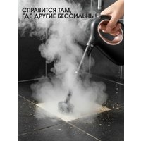 Пароочиститель RAF R.1287