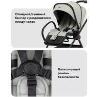 Универсальная коляска Rant Teo Soft RA121 (2 в 1, sage)