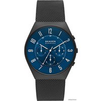 Наручные часы Skagen Grenen SKW6841