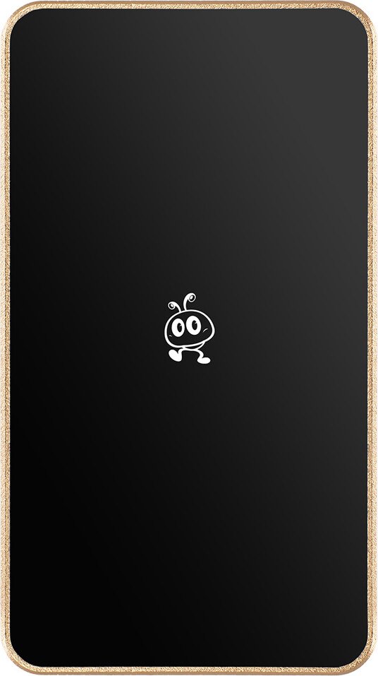 

Внешний накопитель SmartBuy P5 Pro SBD256P5CU3C 256GB (золотистый)