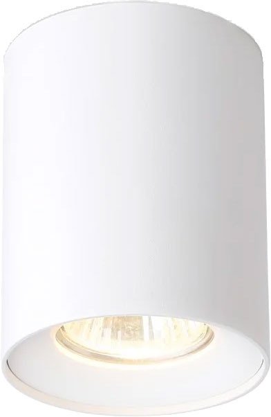 

Спот Ambrella light TN213136 WH (белый)