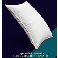 Спальная подушка Espera Classic Dewspo ЕС-5751 (50x70)