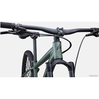 Велосипед Specialized Rockhopper Elite 29 M 2022 (Gloss sage green/Oak green)