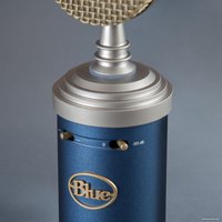 Проводной микрофон Blue Bluebird SL