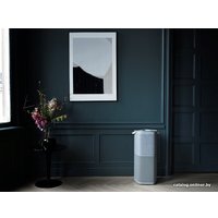 Очиститель воздуха Electrolux Pure A9 PA91-405GY
