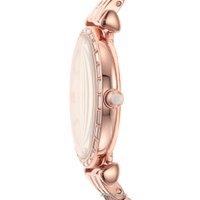 Наручные часы Emporio Armani AR11294