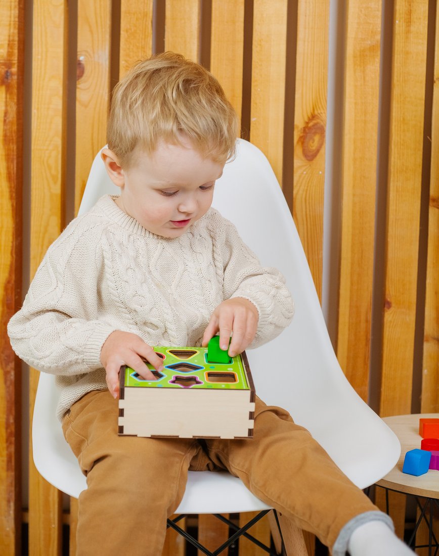 

Сортер Alatoys СОР03