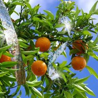 Отпугиватель птиц Sipl OD17A 24 мм x 90 м