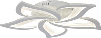 Подвесная люстра Sundays Home LED 6406000646A