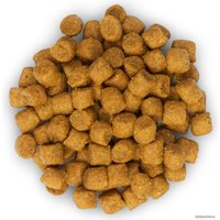 Сухой корм для кошек Hill's Science Plan Adult 1-6 with Tuna для взрослых кошек для поддержания жизненной энергии и иммунитета, с тунцом 10 кг