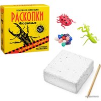 Набор для опытов Bumbaram Раскопки. Насекомые dig-19