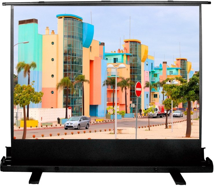 

Проекционный экран CACTUS FloorExpert 120x160 CS-PSFLE-160х120