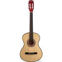 Акустическая гитара Terris TC-3805A NA