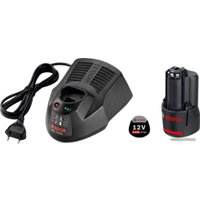 Аккумулятор с зарядным устройством Bosch 1600Z00041 (12В/2 а*ч + 10.8-12В)