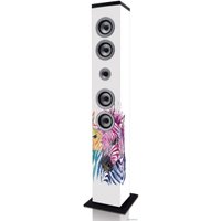 Музыкальный центр iCES IBT-6 Zebra