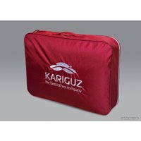 Спальная подушка Kariguz Тенселесон ТС10-5 (68x68 см)