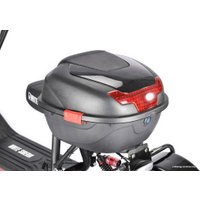 Электроскутер White Siberia Trike Mini 1500W (черный)