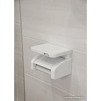 Держатель для туалетной бумаги Swed House R5080