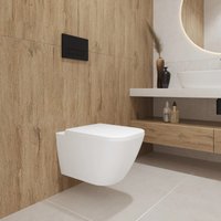 Унитаз подвесной Lauter Nuremberg 21811 + Breez 21GN7071CH