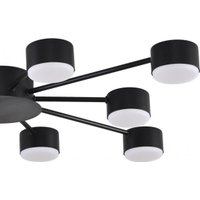 Припотолочная люстра Lumion Torina 8344/10C