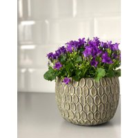 Кашпо Polnix 05.229.09 (серый)