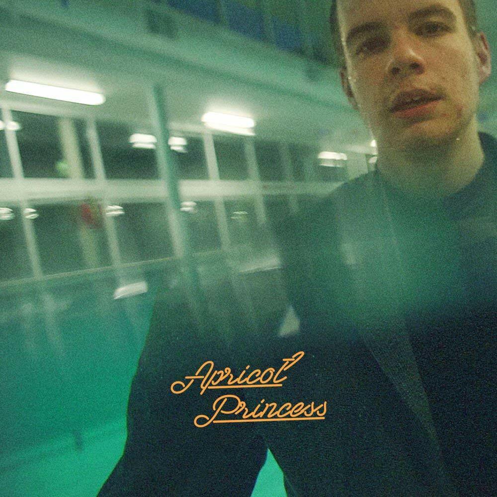 

Виниловая пластинка Rex Orange County - Apricot Princess