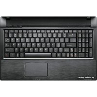 Ноутбук Lenovo G565 (59055355)
