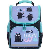 Школьный рюкзак Пифагор Basic. Funny Cats 273135