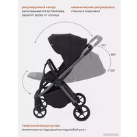 Коляска прогулочная «книга» Rant Golf RA101 (black)