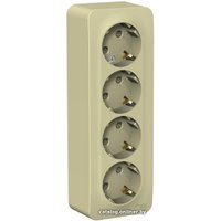 Розетка Schneider Electric BLNRA011417