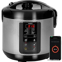 Мультиварка RED Solution SkyCooker RMC-M225S