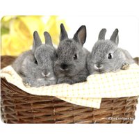 Коврик для мыши Buro BU-M40092