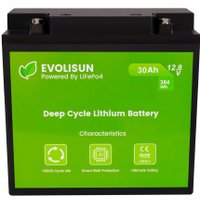 Аккумулятор для ИБП Evolisun EVOLISUN30Q10-LFP (12.8В/30Ач)