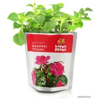 Набор для опытов Happy plant Бальзамин милашка hpn-31 в Могилеве