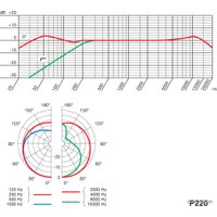 Проводной микрофон AKG P220 (черный)