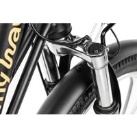 Электровелосипед MyWay Truck 1.0 350 20 (15, черный)