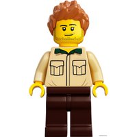 Конструктор LEGO Ideas 21318 Дом на дереве