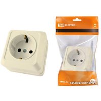 Розетка TDM Electric Ладога SQ1801-0211 (слоновая кость)