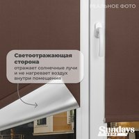 Рулонные шторы Sundays Home LM 168-09 140x170 (коричневый)