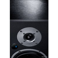 Напольная акустика Magnat Monitor Reference 5A