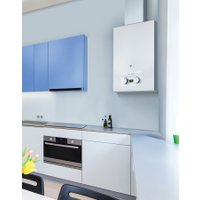 Газовая колонка Oasis Eco S-20