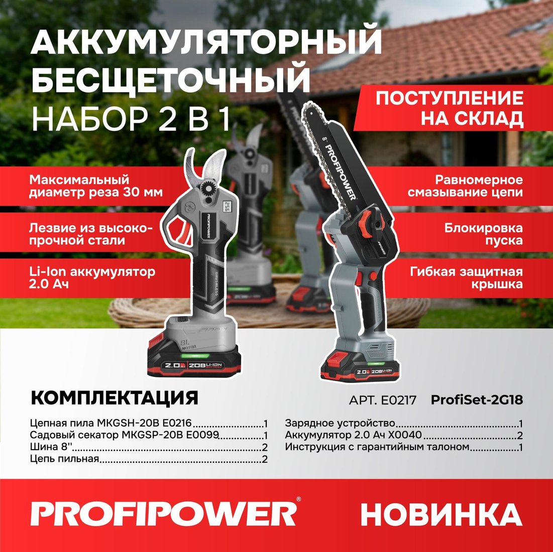 

Profipower ProfiSet-2G20 E0217 (цепная пила, секатор, 2 АКБ)