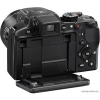 Фотоаппарат Nikon Coolpix P510