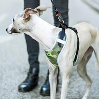 Шлея Ferplast Nikita Fashion P (M, зеленый)