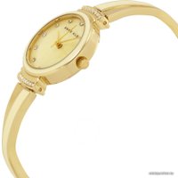 Наручные часы Anne Klein 2216IVGB