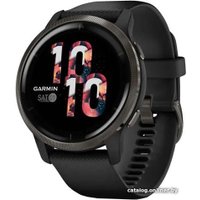 Умные часы Garmin Venu 2 (сланцевая нержавеющая сталь/черный)