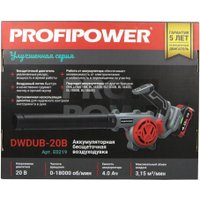 Ручная воздуходувка Profipower DWDUB-20V (с 1-им АКБ)