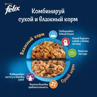 Сухой корм для кошек Felix Двойная вкуснятина с мясом (10 кг)